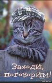 Аватара пользователя